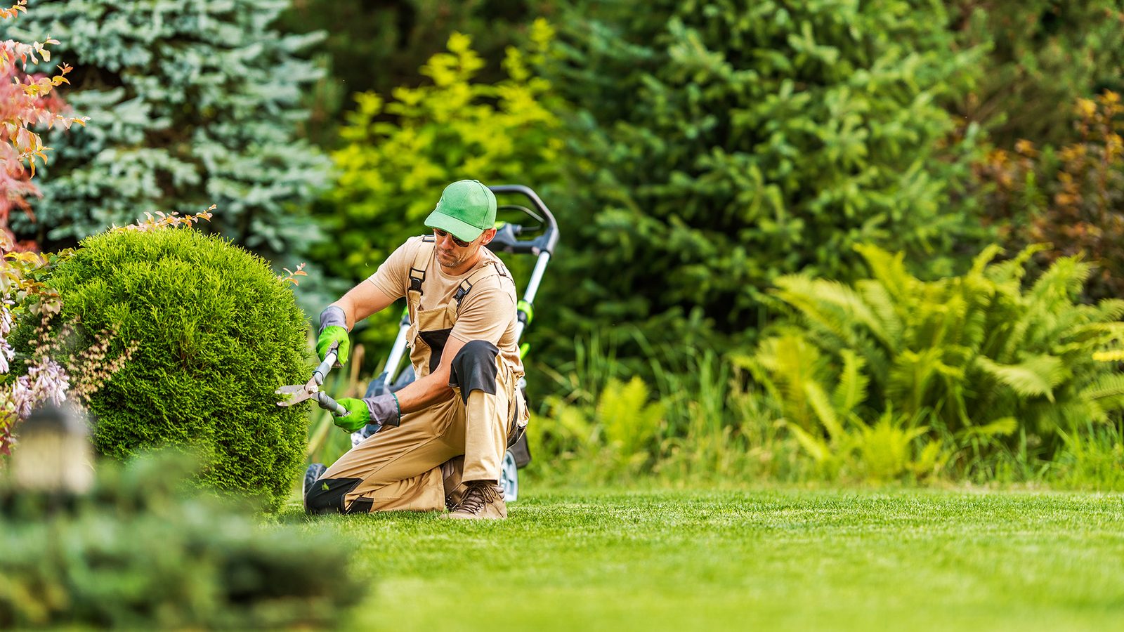 Free Marketing Strategies to Grow Your Lawn Care Business