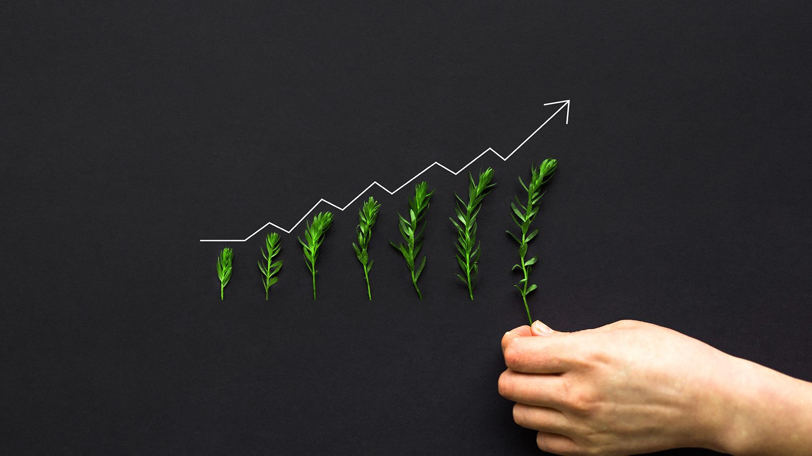 5 Ways to Boost Your Business in 2025
