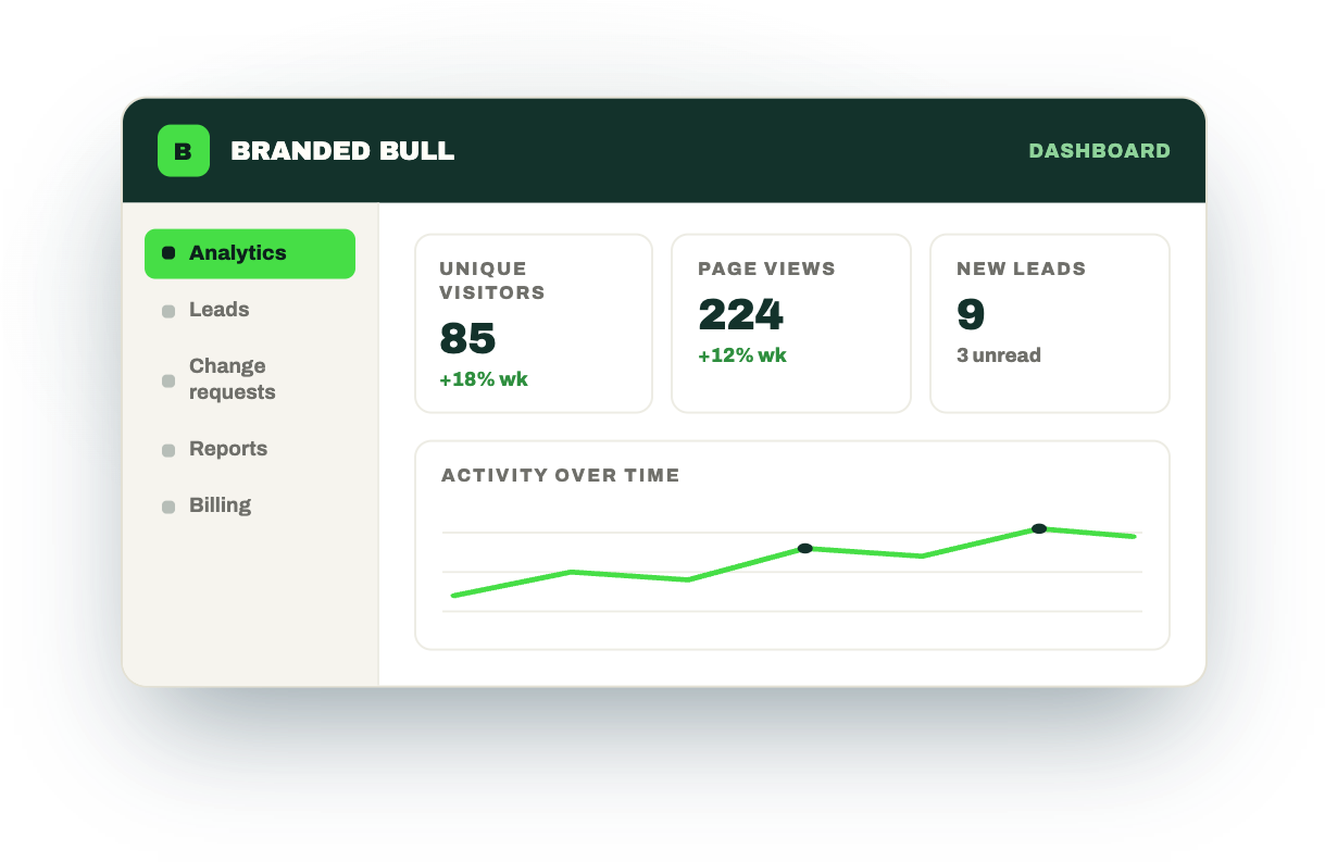The Branded Bull Dashboard showing website analytics — unique visitors, page views, new leads, and activity over time